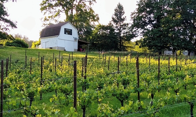 Salem Apartment | Cozy Barn Cottage Retreat nestled in the vineyards of Eola-Amity Hills