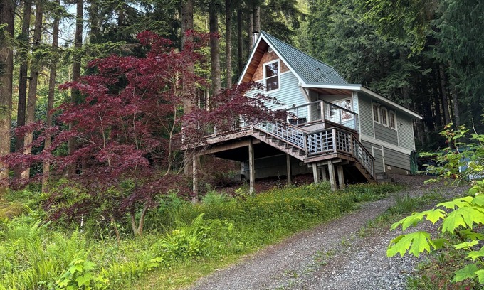 Lime Kiln Other | Cozy Cabin by Lake Cavanough