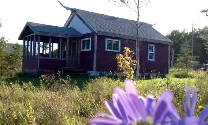 Manitoba Cottage | Cozy cabin near RMNP with screened-in deck, forest and meadow views