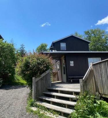 Carbondale House | Cozy Cottage - Sunrise and Lake Views - Shared Dock - Community Beach