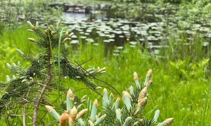Ellenville Cottage | Cozy Cottage with a Pond 2