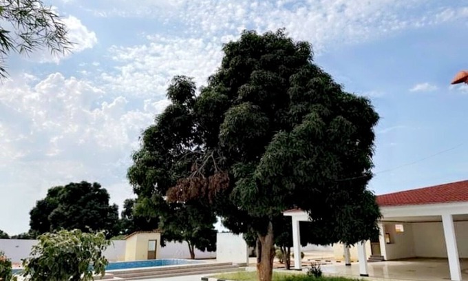Luanda Villa | Cozy & District Ready2Relax Luanda, Angola