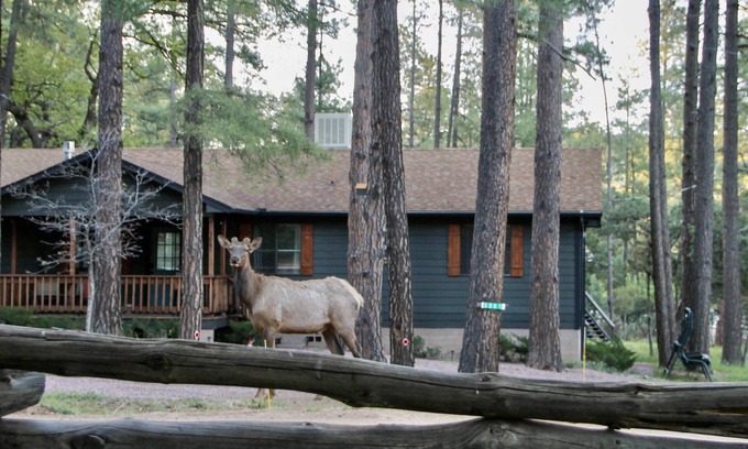Strawberry House | Cozy Getaway near historic schoolhouse
