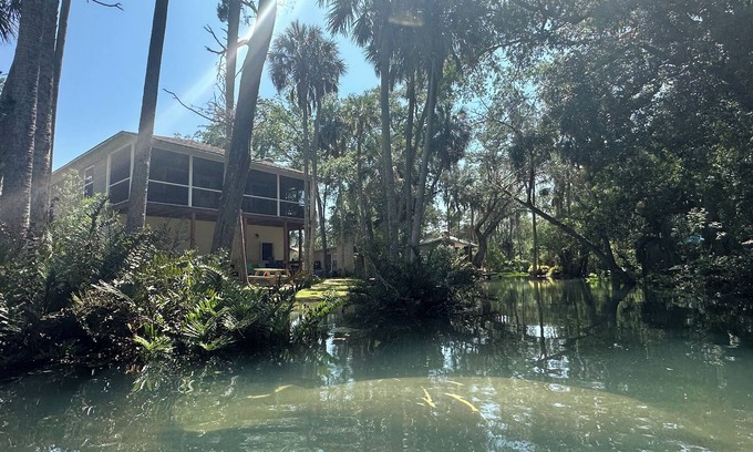Brooksville House | Cozy home, beautiful views & swimming in a spring fed river among a wooded yard