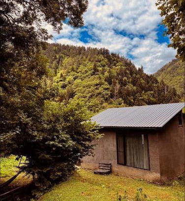 Likani Villa | Cozy house in the forest