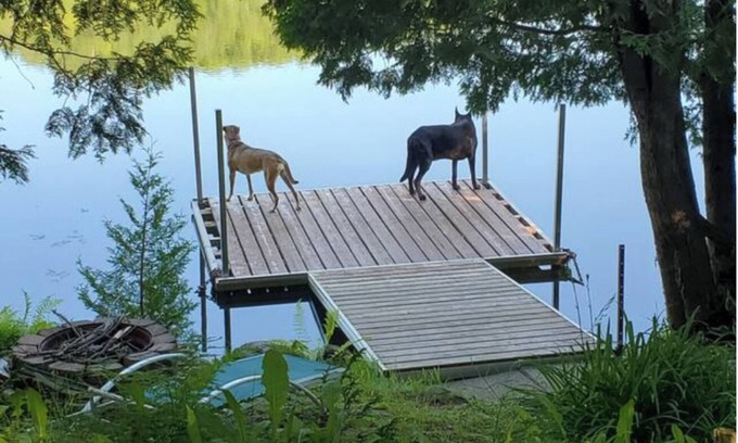 Amherst House | Cozy lakefront cottage - 15 minutes from Tremblant