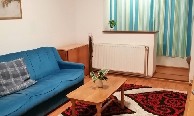 Azuga Apartment | Cozy mountain retreat close to great ski slopes, bike and hiking trails.