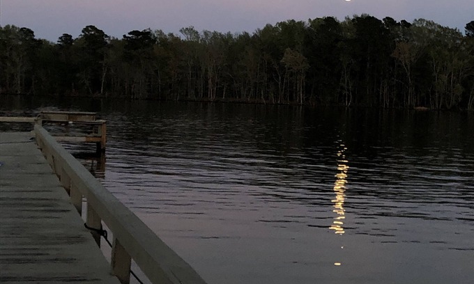 Summerton House | Cozy & Peaceful 3 bed 2 bath On the Water
