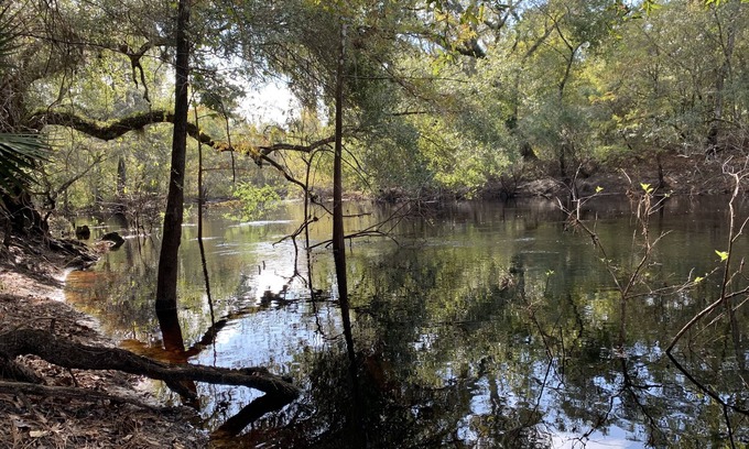 Webster House | Cozy river front retreat on beautiful Withlacoochee River. Near theme parks.