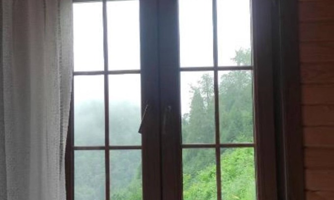 Ayder Yaylasi Apartment | Cozy Wooden Room with WiFi & Breakfast in Ayder - Fora Pensionn