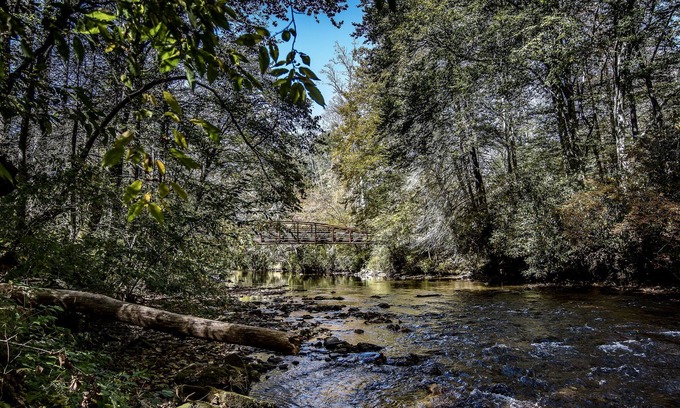 Brevard Cottage | Creekside Cozy Cottage | Fire Pit & Fall Views