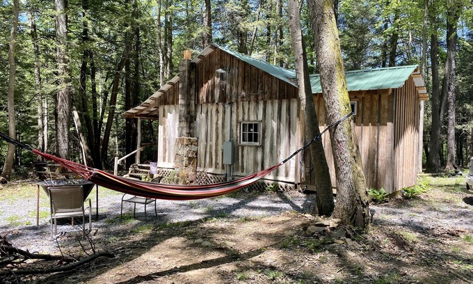 Aurora Cabin | Creekside Log Cabin w/firepit, near quaint towns Thomas/Davis & many state parks