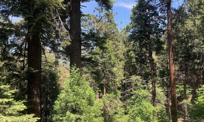 Crestline Cabin | Crestline Blissful Cabin Escape - Private Guest House near Lake!