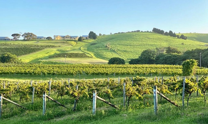 Willow Vale House | Crooked River Wines Estate House, Gerringong