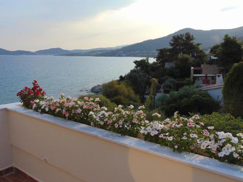 Palaio Tsifliki Apartment | CRYSTAL BAY