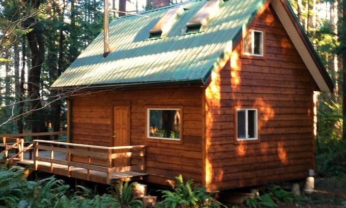 Savary Island Cabin | Cute cozy log cabin nestled in private wooded area between 2 sandy beaches