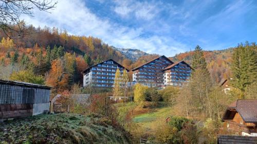 Bad Goisern Apartment | dachstein view