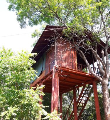 Dambulla Cabin | Dambulla Tree House