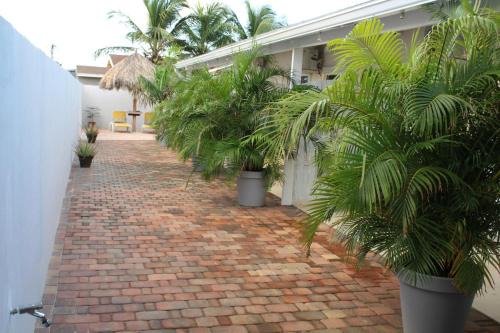 Cunucu Abao Apartment | Dancing Iguanas