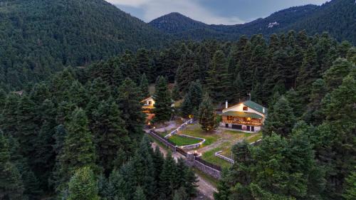 Eptalofos Ski Chalet | Dandy Villas Elatodasos - Chalet Artemis - Fir Forest - Jeep & Nature Lovers