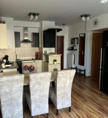 Vizafogo Apartment | Danube Terrace Apartment with 2 Bedroom and Private Parking