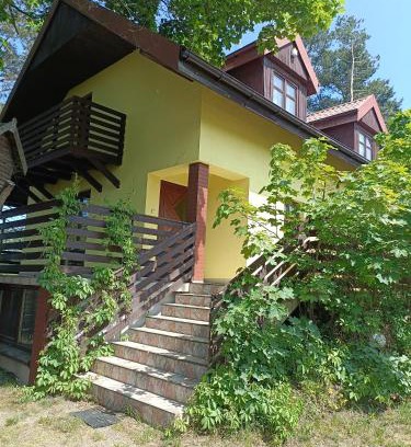 Narty Cabin | Dar Lasu