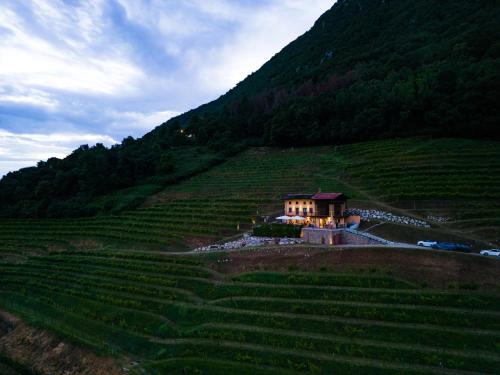 Nimis House | Dario Coos srl - Azienda vinicola