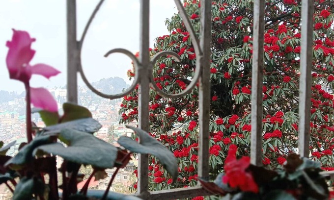 Darjeeling Apartment | Darjeeling, Adrija Luxury Homestay & Apartments