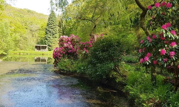 Liskeard Cottage | Davy Cottage in the Countryside With Horse Riding
