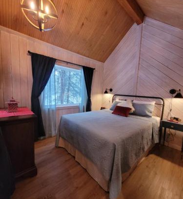 Healy House | Denali Wild Stay - Muskrat cabin, private, free wifi, free parking, sleep 4