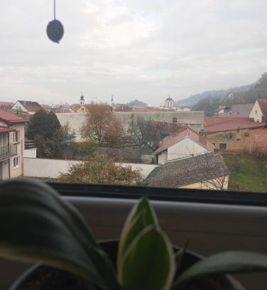Pozega Apartment | Deniro Apartment