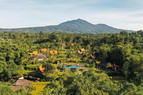 Baturiti Hotel | Desa Seni Baturiti