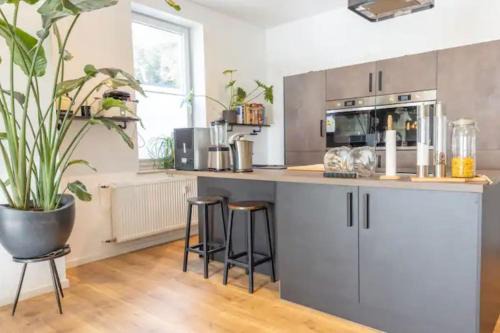 Nienburg/Weser Apartment | Design Apartment im Zentrum von Nienburg!