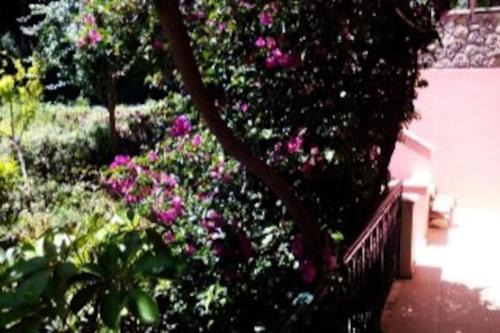 Magoulades Apartment | Despina's Home