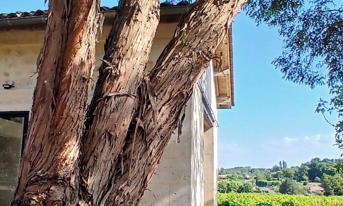 Villegouge House | Detached 2/4 bed stone studio near Saint-Émilion and Bordeaux.