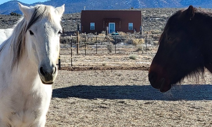 Ranchos De Taos House | Devine Casita - Stunning 360 Views! Dogs OK - Sweet Casita <1 mile to Trails