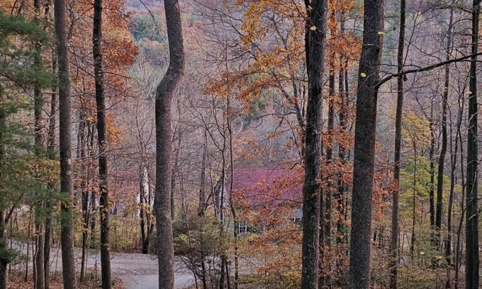 Blairsville Cabin | Dogwood Nestled atop the pristine mountain canopy