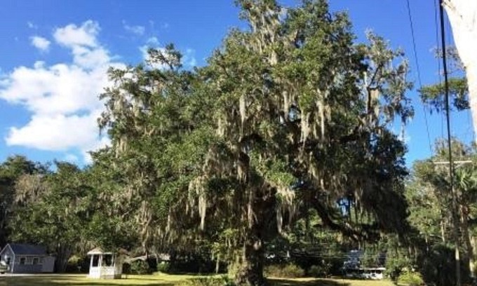 Brooksville Bed & Breakfast | Dolan House B&B
