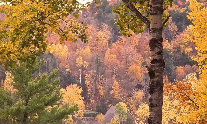 Lac-McGregor Cabin | Domaine Baie Mud