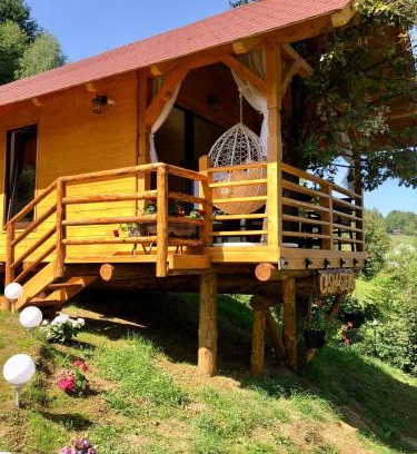 Moisei House | Domeniul Horj Casa din Stejar Moisei
