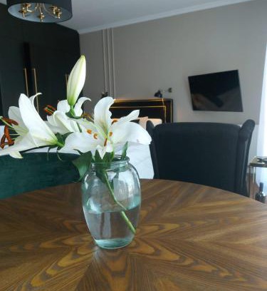 Stare Podgorze Apartment | Doris Day Apartment