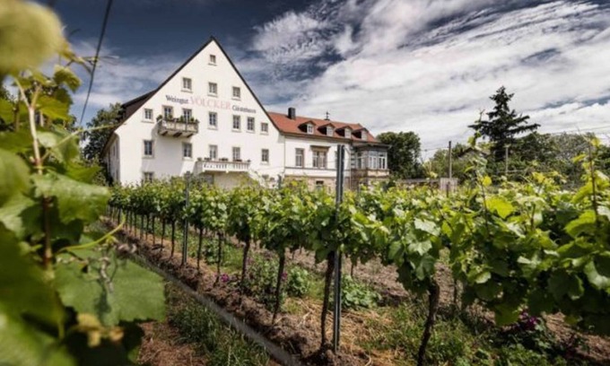 Mußbach Bed & Breakfast | Double room, shower, toilet, street side - winery - guest house Völcker