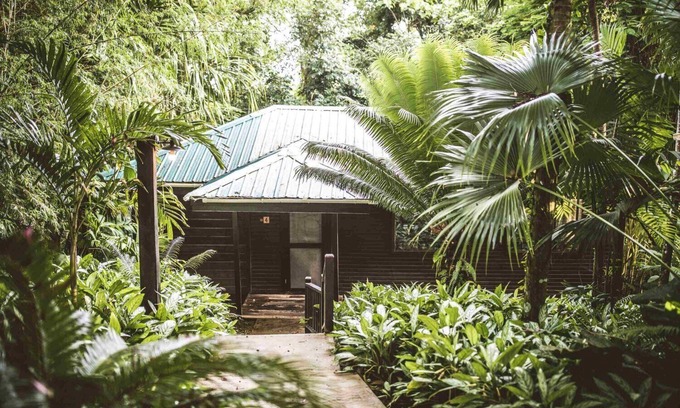 Forest Home Apartment | Double Queen Suite, a relaxation in the heart of the jungle