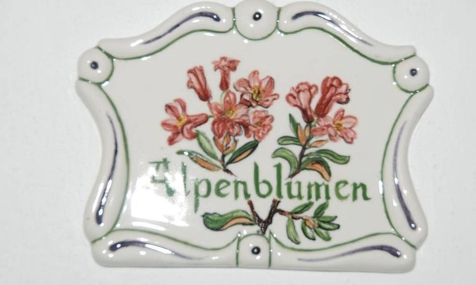 Vorderstoder Other | Double room "Alpenblumen" with bath, WC - Ferienhof Zamsegg