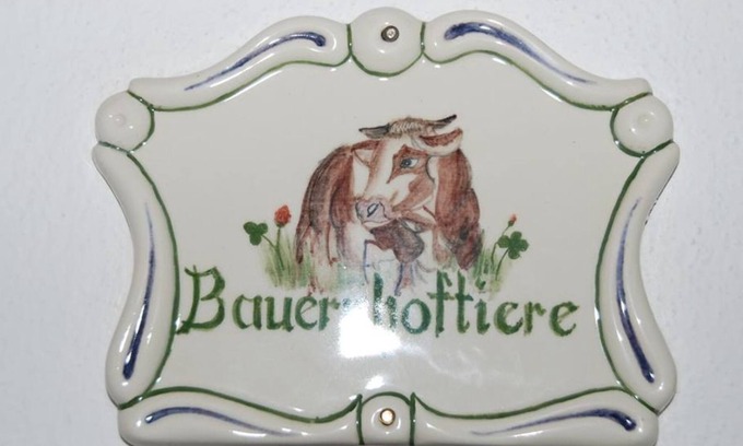 Vorderstoder Other | Double room "farm animals" with bath/WC - Ferienhof Zamsegg