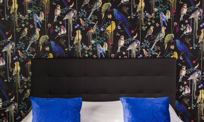 Cahon Bed & Breakfast | Double room-Premium-Private Bathroom-Garden view