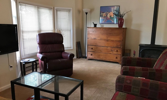 Crested Butte House | Downtown C B, Contemporary, Sunny 2BR, 2 BA, Stunning Views