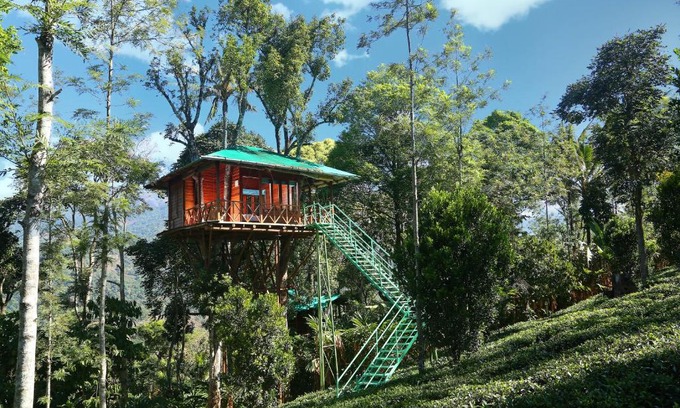 Udumbanchola Resort | Dream Catcher Plantation Resort