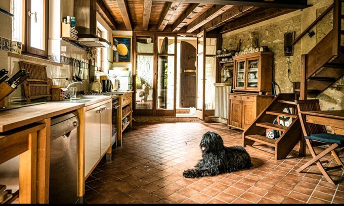 Gargnano House | Dream house in the midst of lemons, olives, oleander, in the vineyard