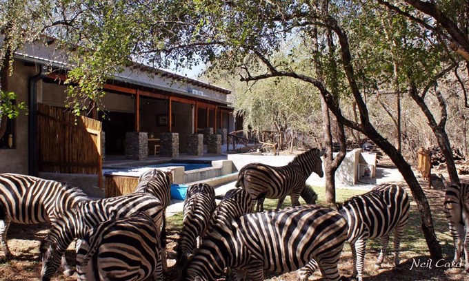 Marloth Park Cabin | Dream of Africa Bush Lodge